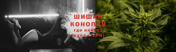 ПСИЛОЦИБИНОВЫЕ ГРИБЫ Елизово