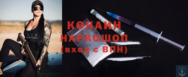 ПСИЛОЦИБИНОВЫЕ ГРИБЫ Елизово