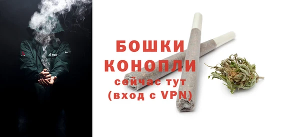 соль ск Елабуга