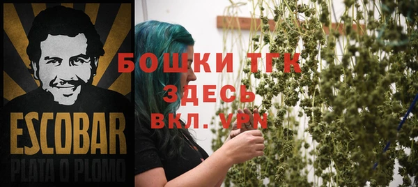 соль ск Елабуга