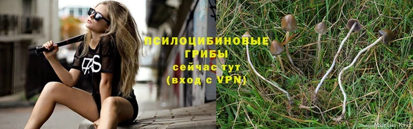 соль ск Елабуга
