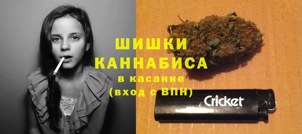 соль ск Елабуга