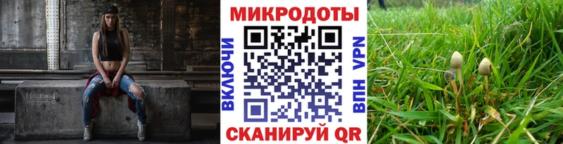 Купить  Жигулёвск  Псилоцибиновые грибы Psilocybine cubensis 